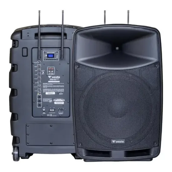 Westa WAP-12505 12'' 300W 2 Yollu Bluetooth Şarjlı Kabin Hoparlör resmi